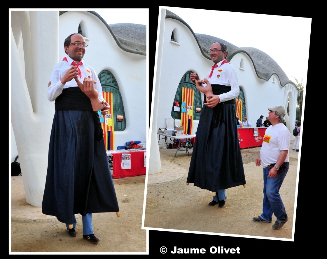 Culturassa 2013 F1205  Jaume Olivet