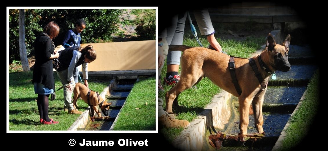  Jaume Olivet