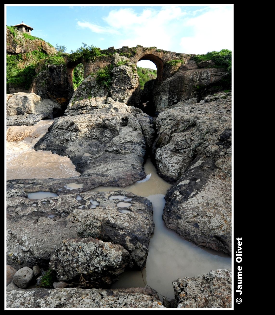 � Jaume Olivet