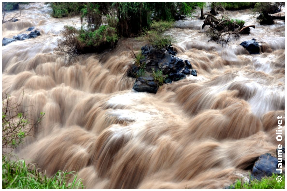 © Jaume Olivet