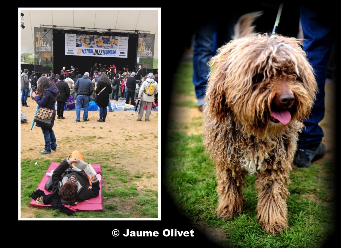 � Jaume Olivet 2013