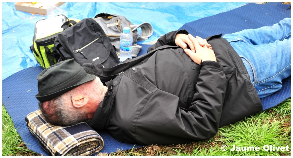 � Jaume Olivet 2013