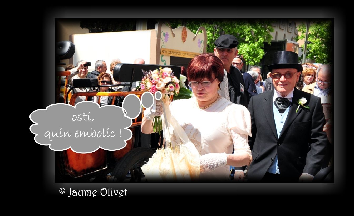 M2013_1506  Jaume Olivet