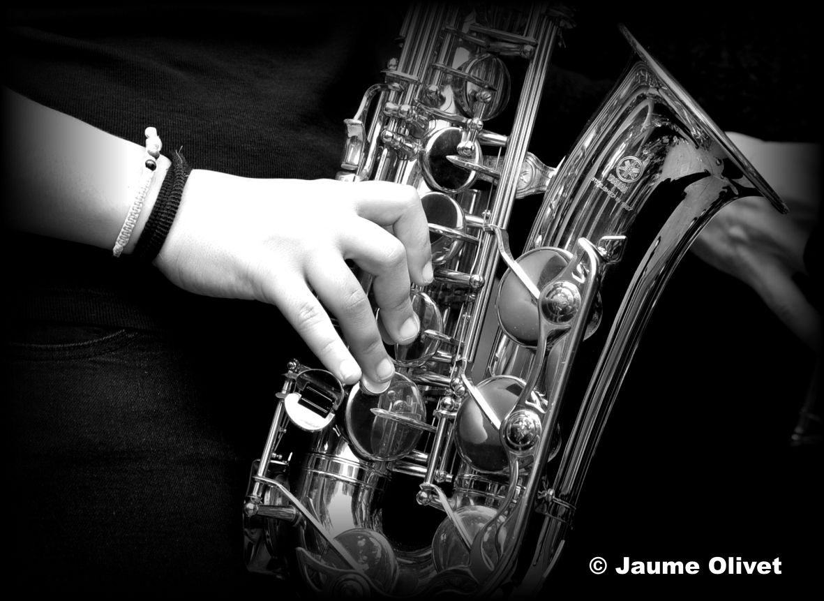 M2013_0313 � Jaume Olivet