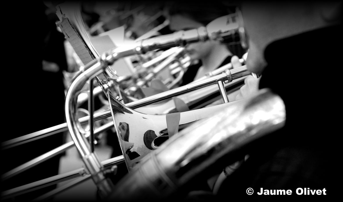 M2013_0403 � Jaume Olivet