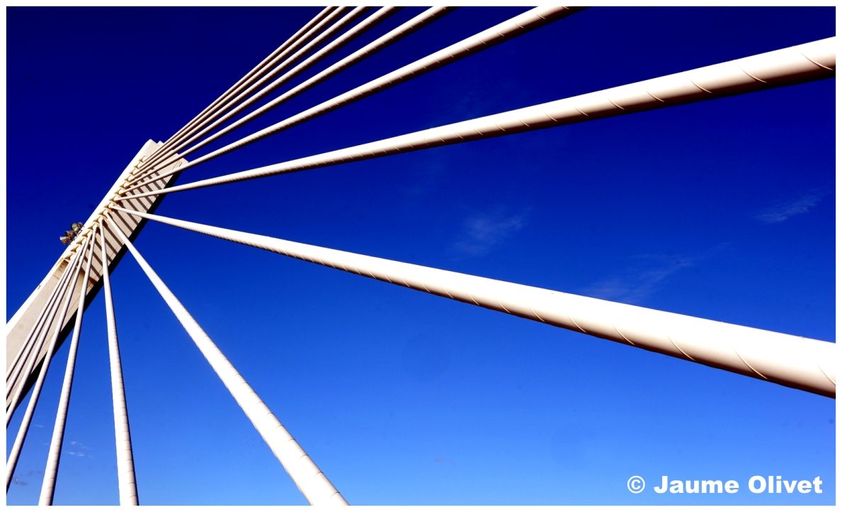 � Jaume Olivet