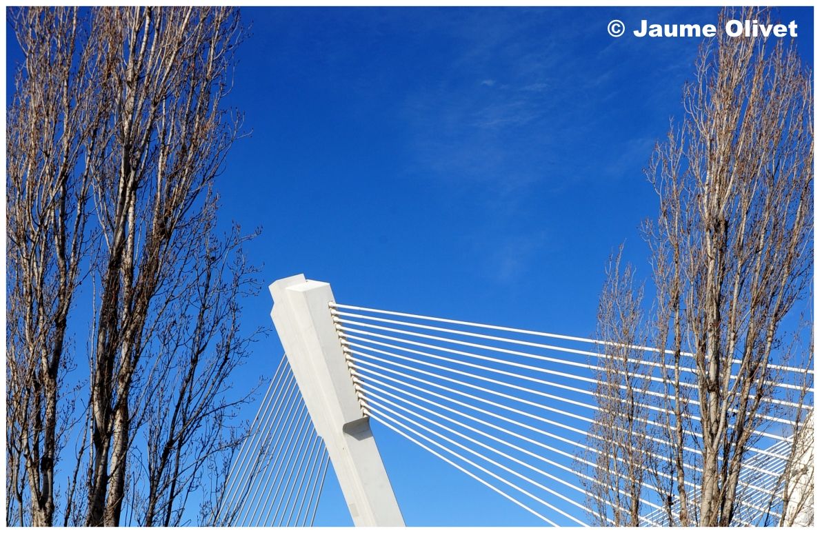 � Jaume Olivet