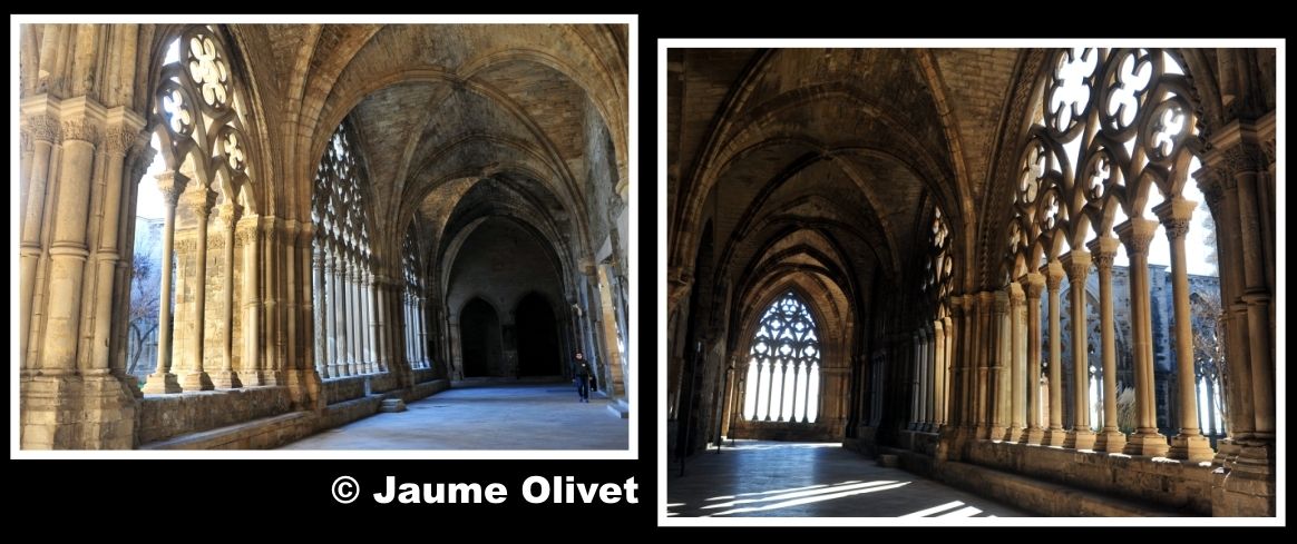 � Jaume Olivet