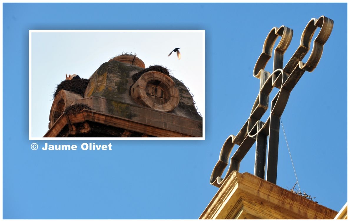 � Jaume Olivet