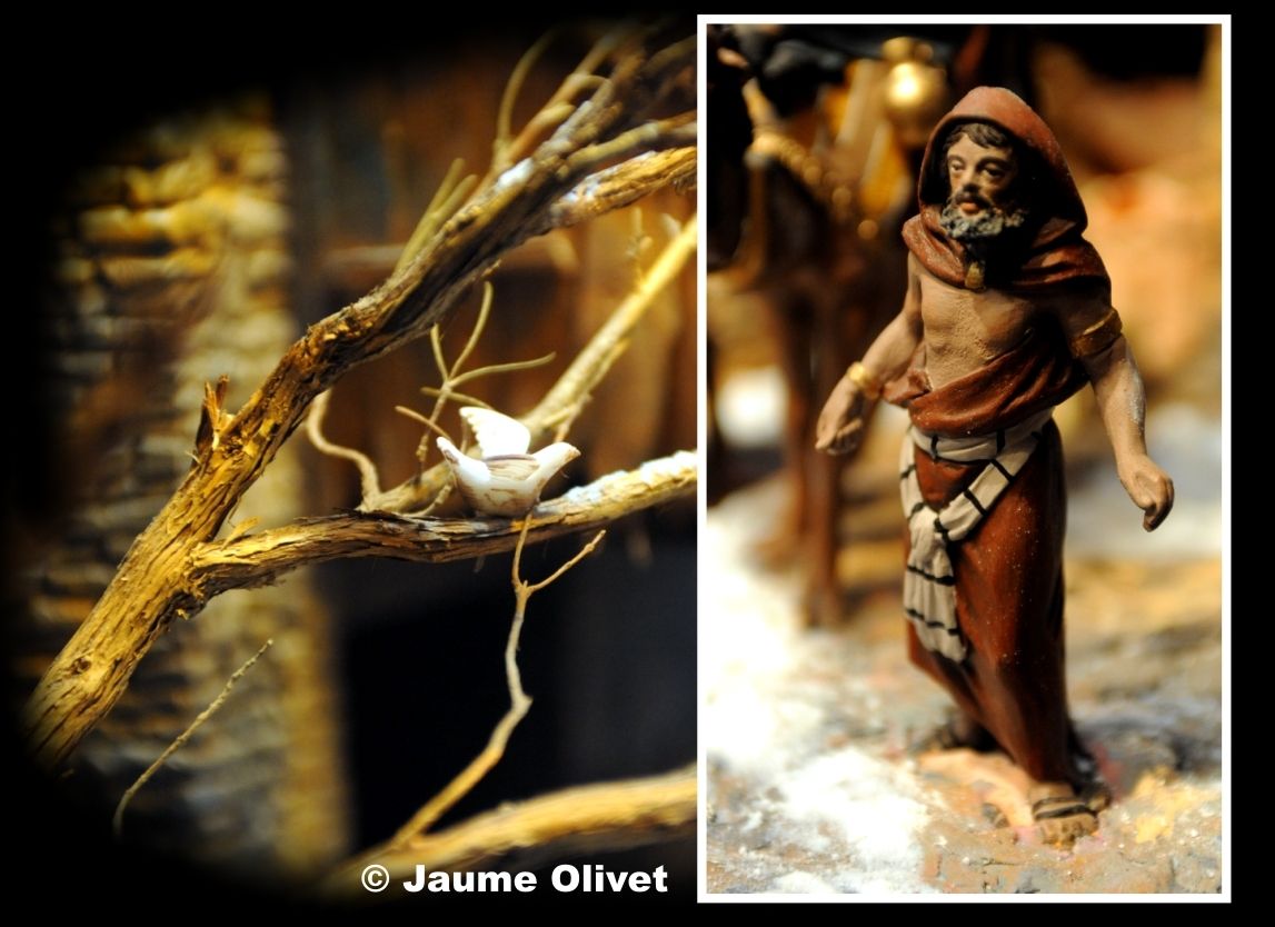 SP2013_11_04  Jaume Olivet