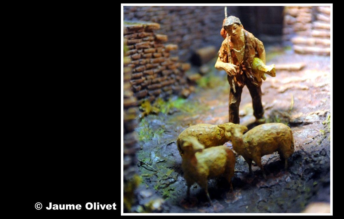 SP2013_12_03  Jaume Olivet