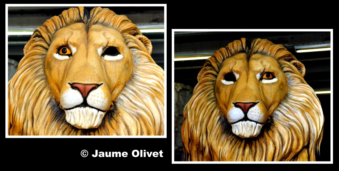 � Jaume Olivet