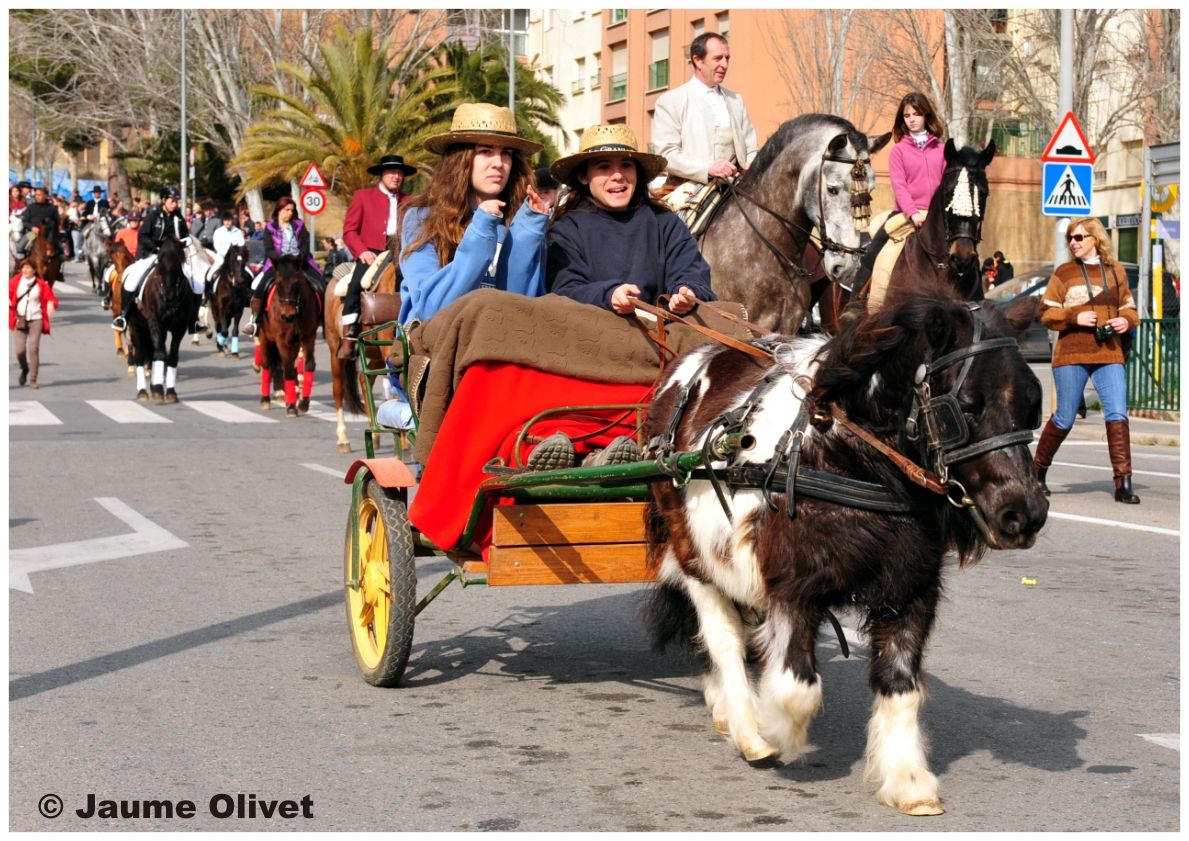  Jaume Olivet