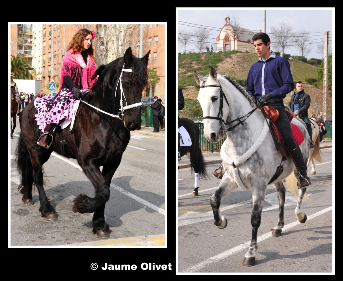  Jaume Olivet