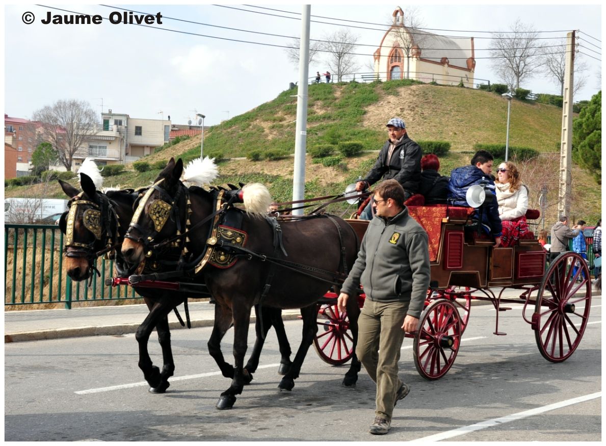  Jaume Olivet