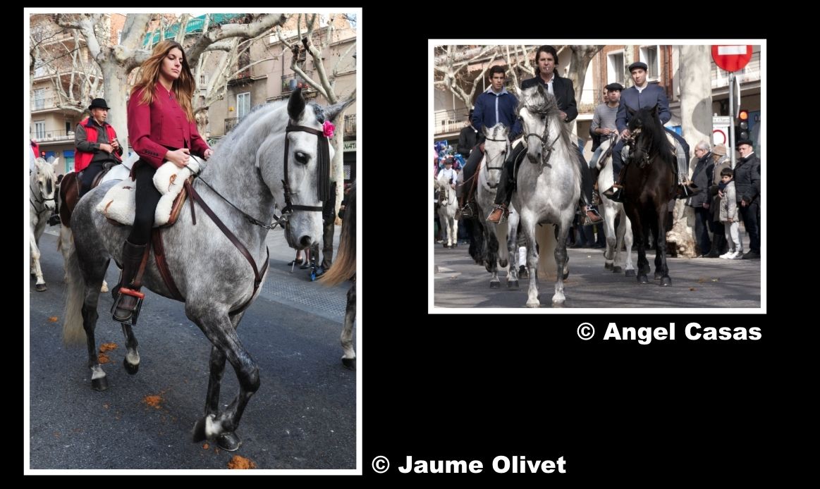  Jaume Olivet