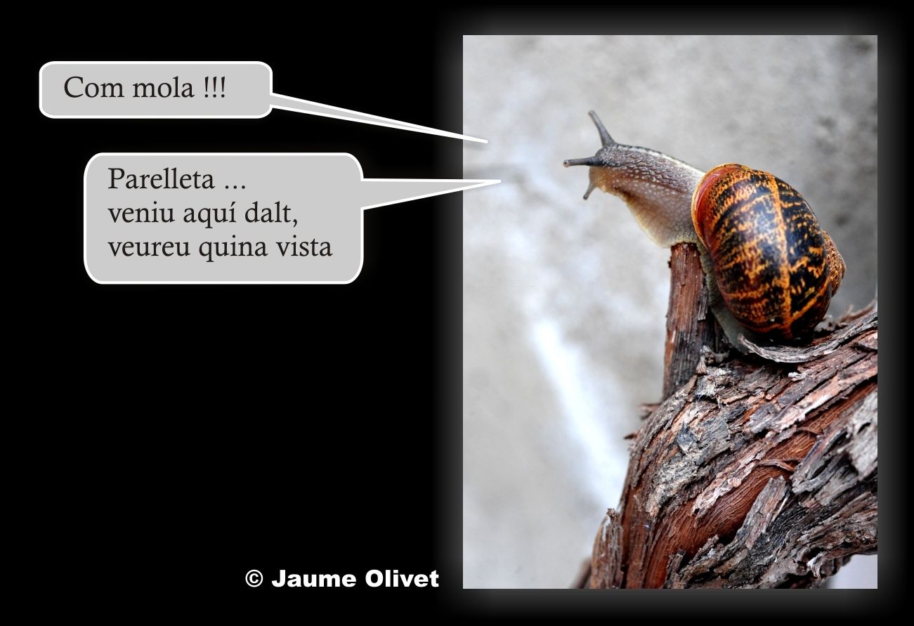 � Jaume Olivet