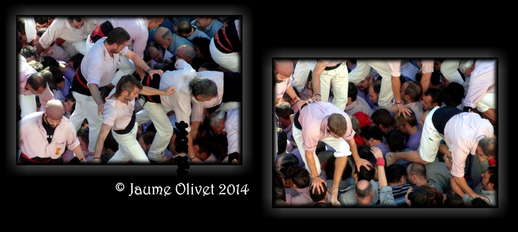 F010-15  Jaume Olivet