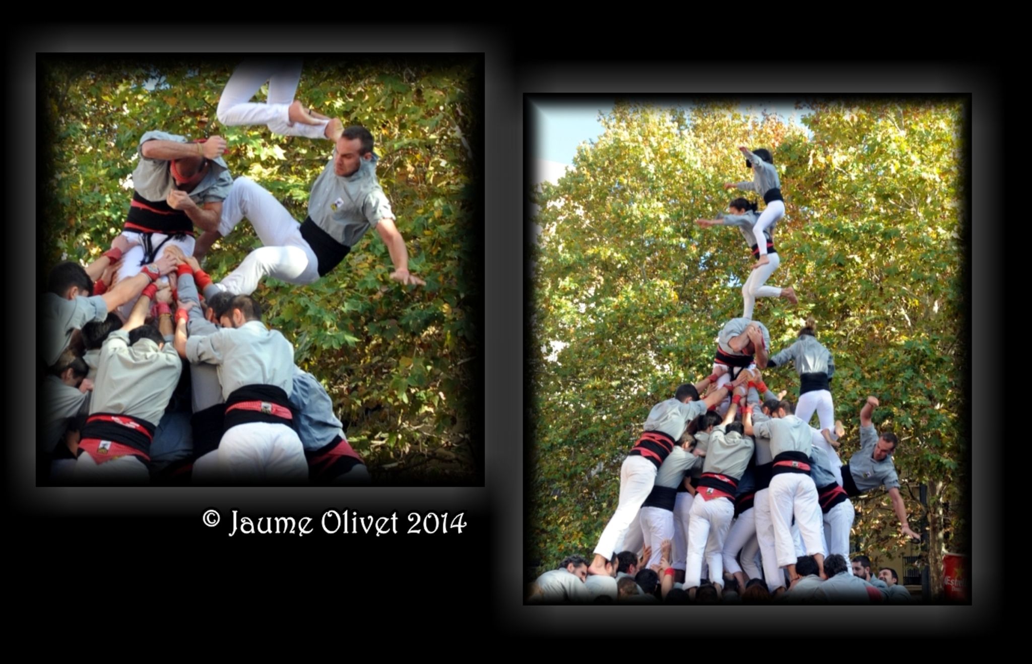 F050-08  Jaume Olivet