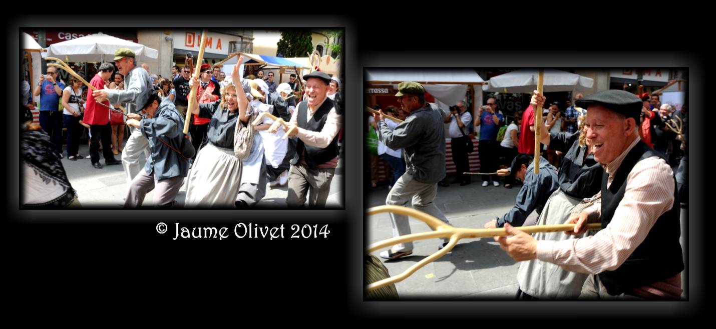 M2014_1109  Jaume Olivet