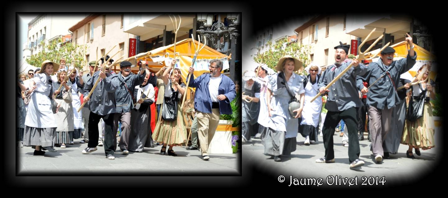 M2014_1115  Jaume Olivet