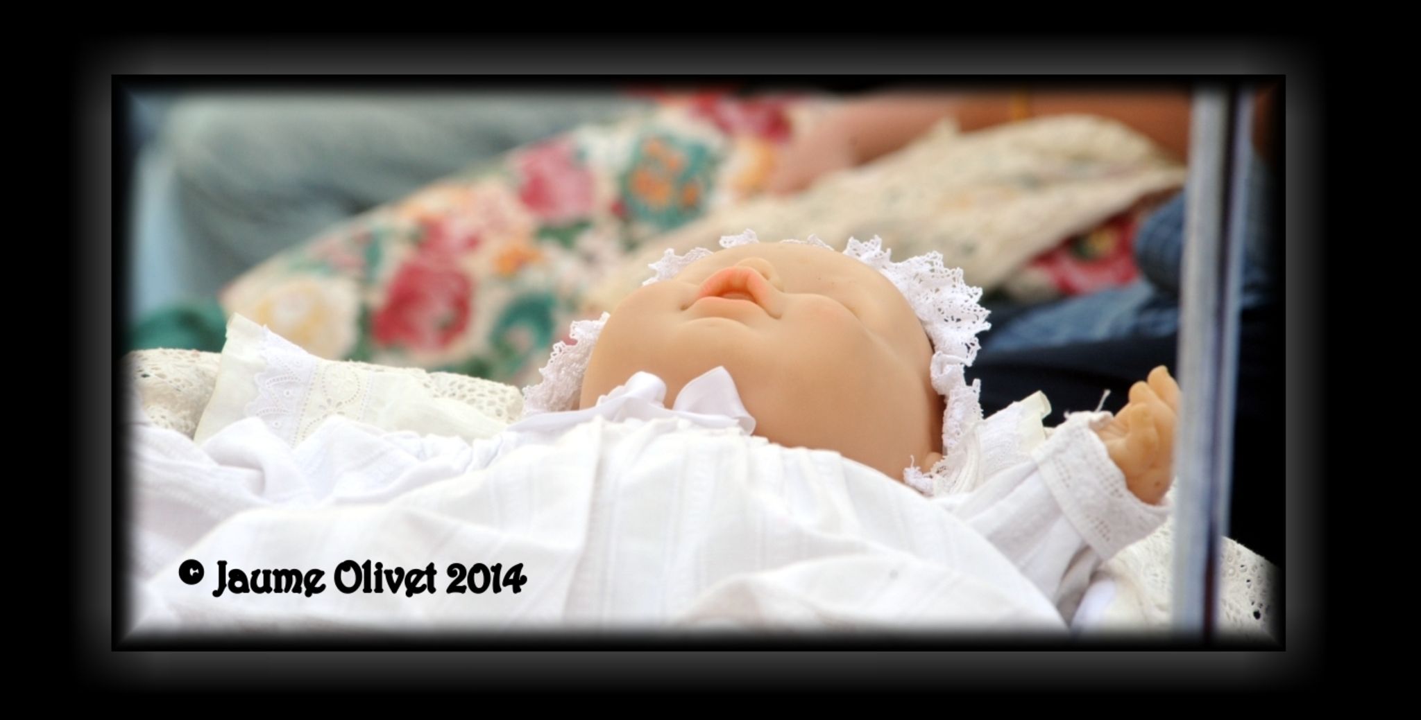 M2014_1618  Jaume Olivet