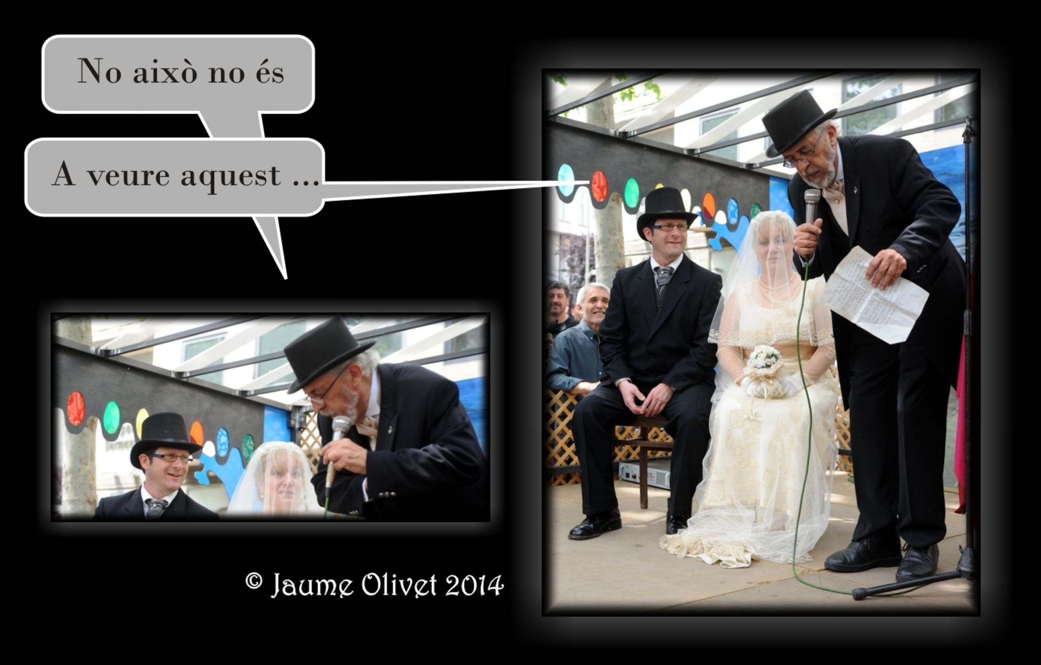 M2014_2614  Jaume Olivet