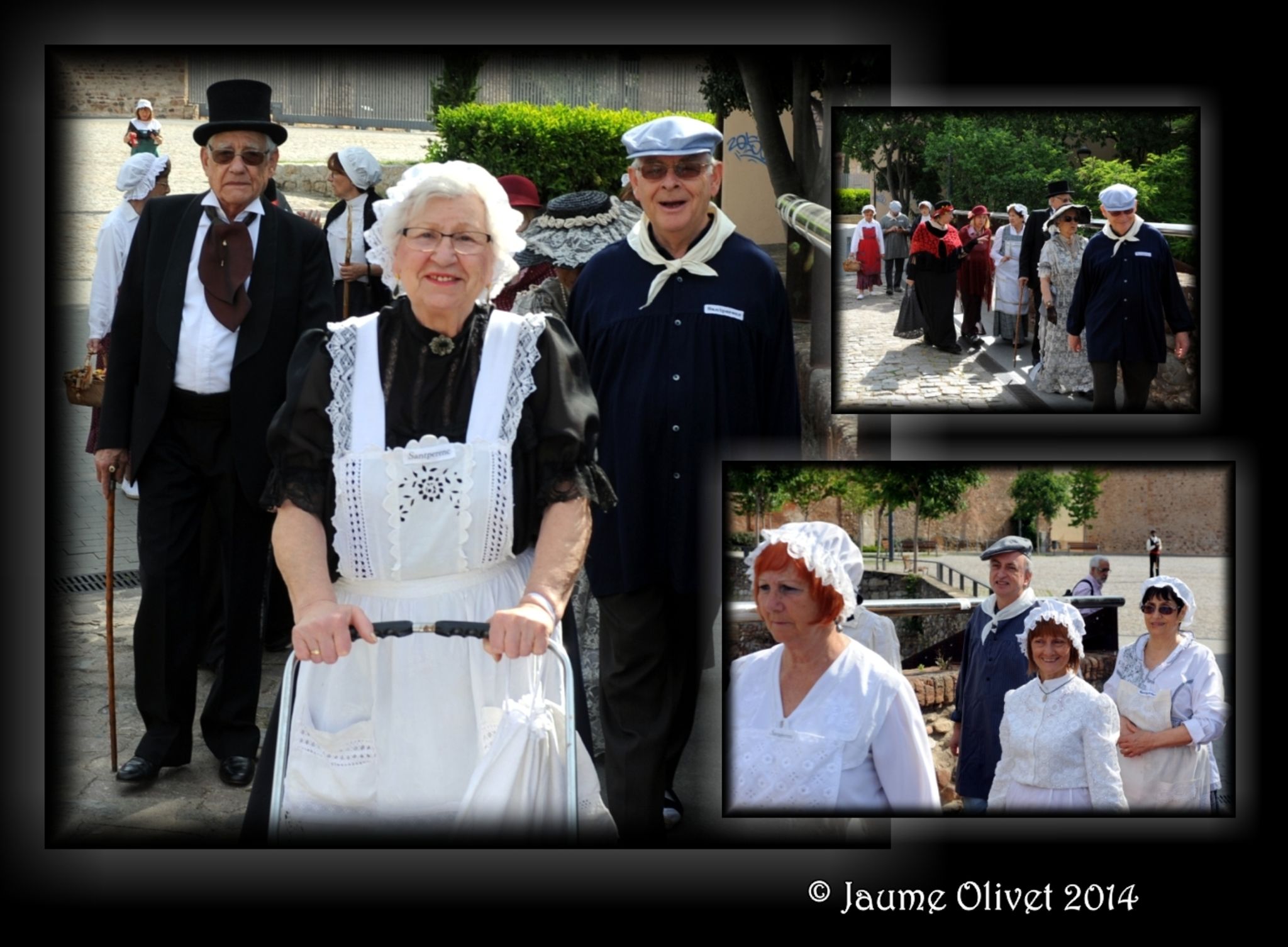 M2014_3008  Jaume Olivet