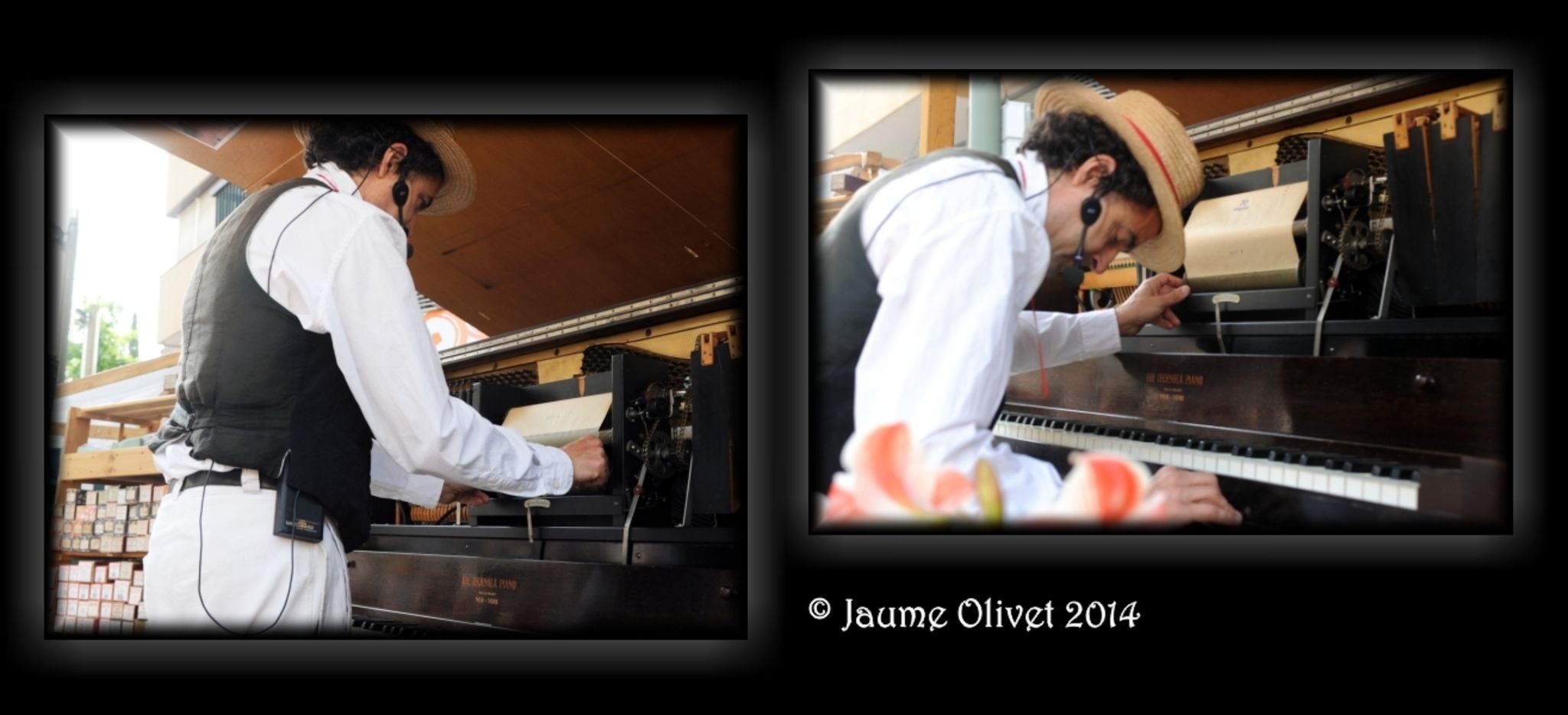 M2014_8005  Jaume Olivet