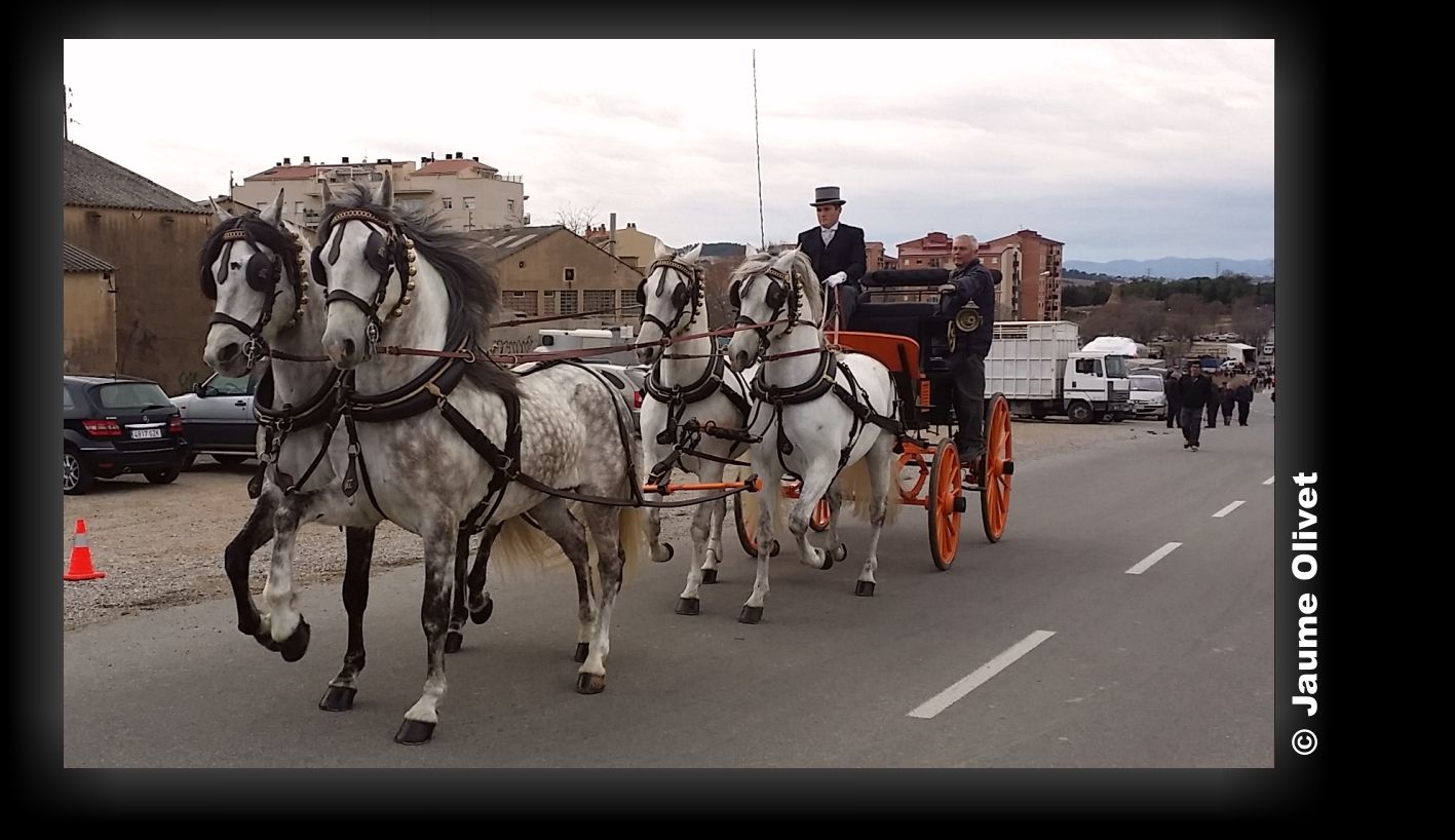 © Jaume Olivet