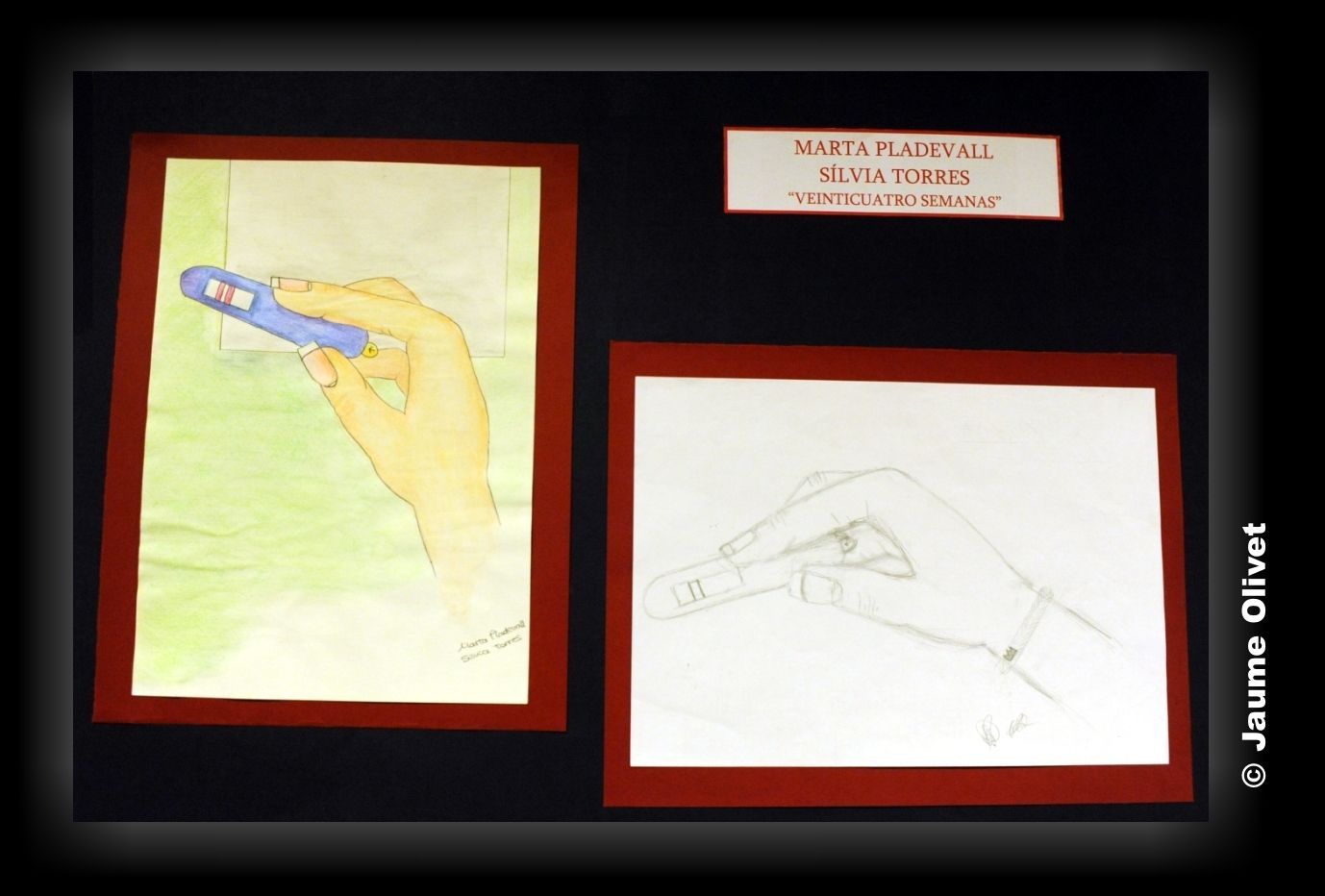 � Jaume Olivet 2014