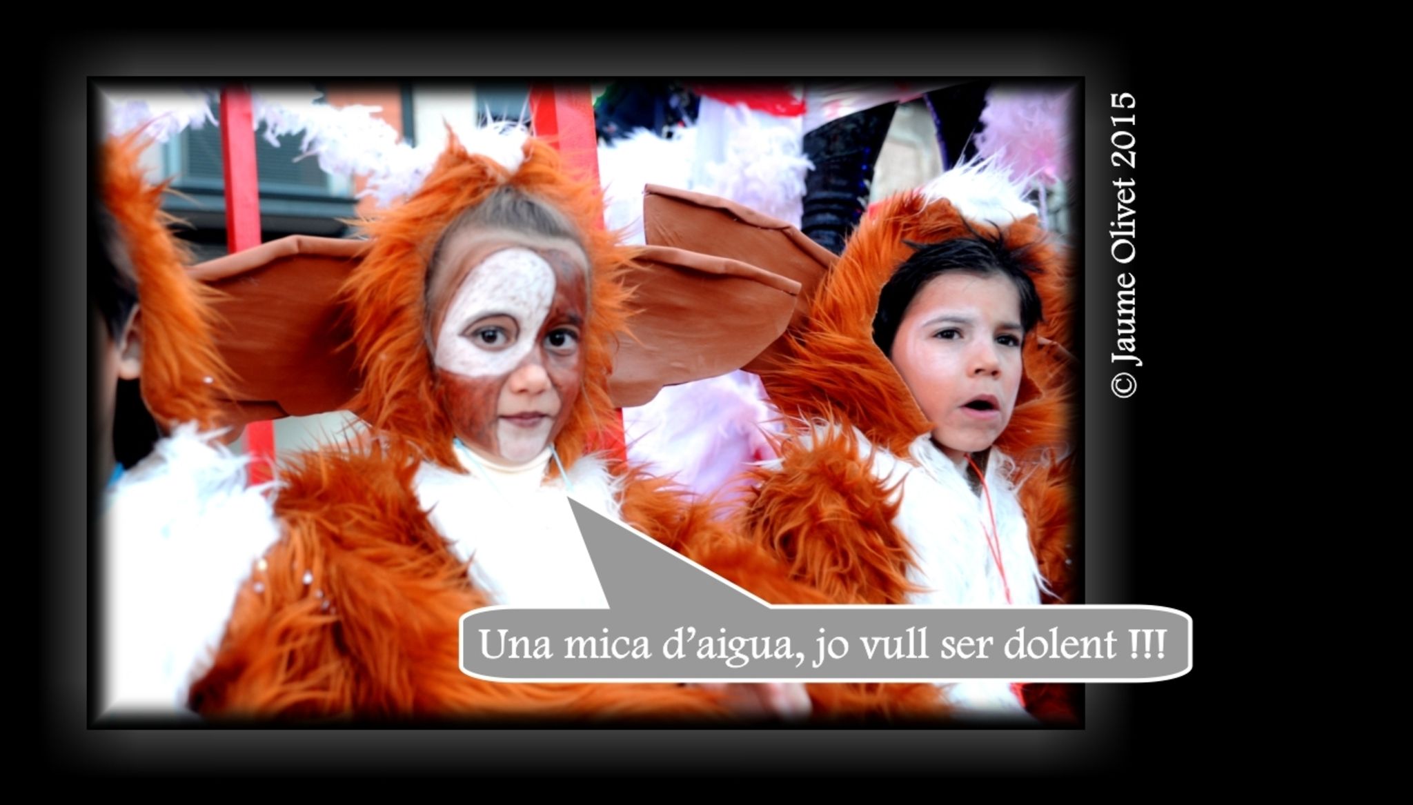 C2015 F0501206  Jaume Olivet