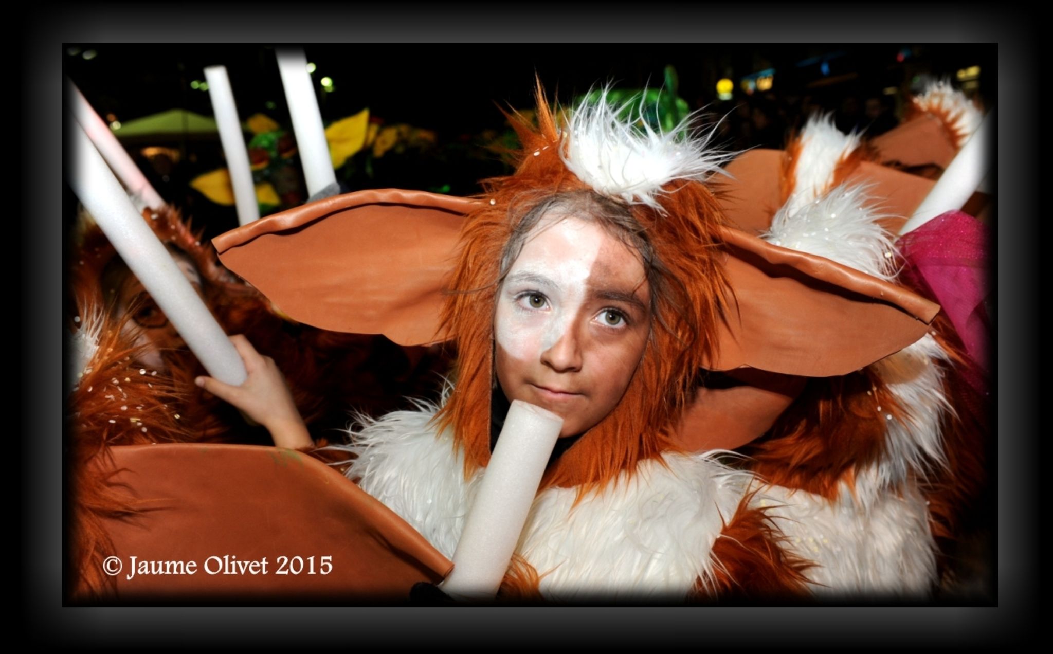 C2015 F0501213  Jaume Olivet