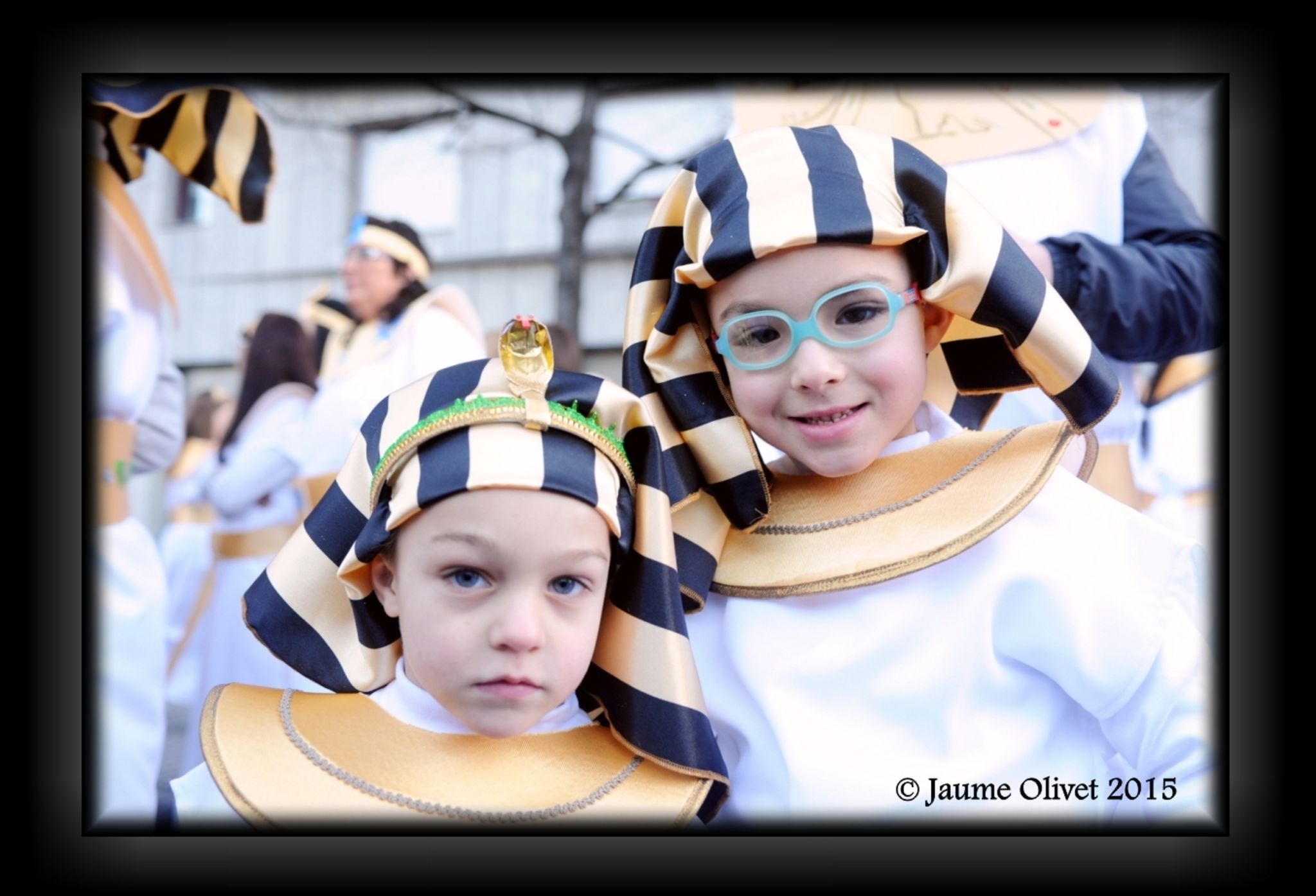 C2015 F0501302  Jaume Olivet