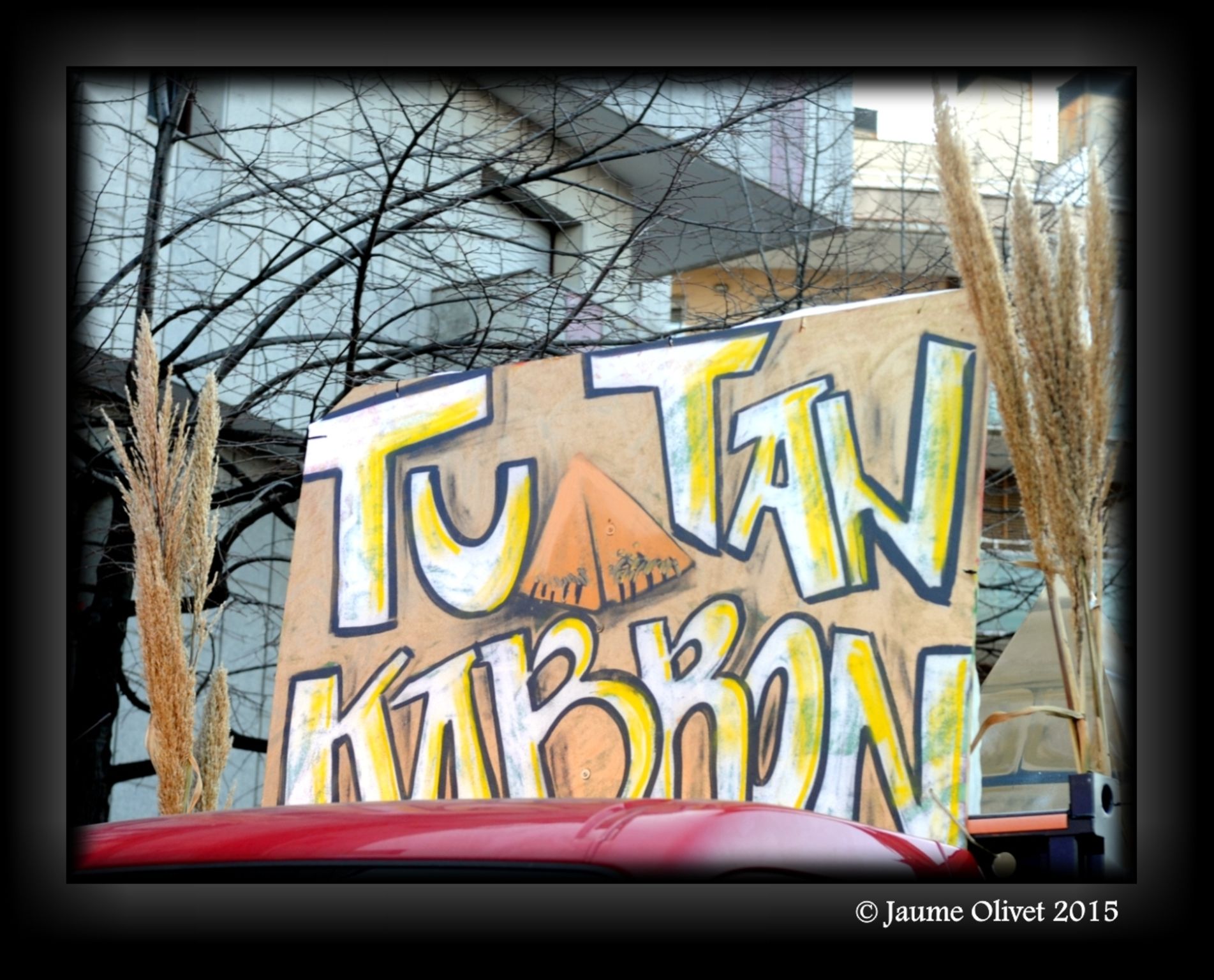C2015 F0501307  Jaume Olivet