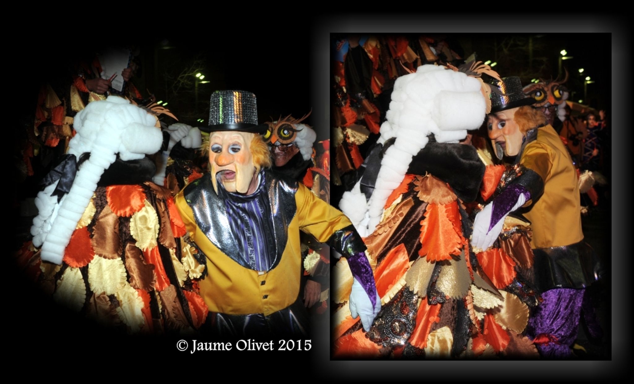C2015 F0503122  Jaume Olivet
