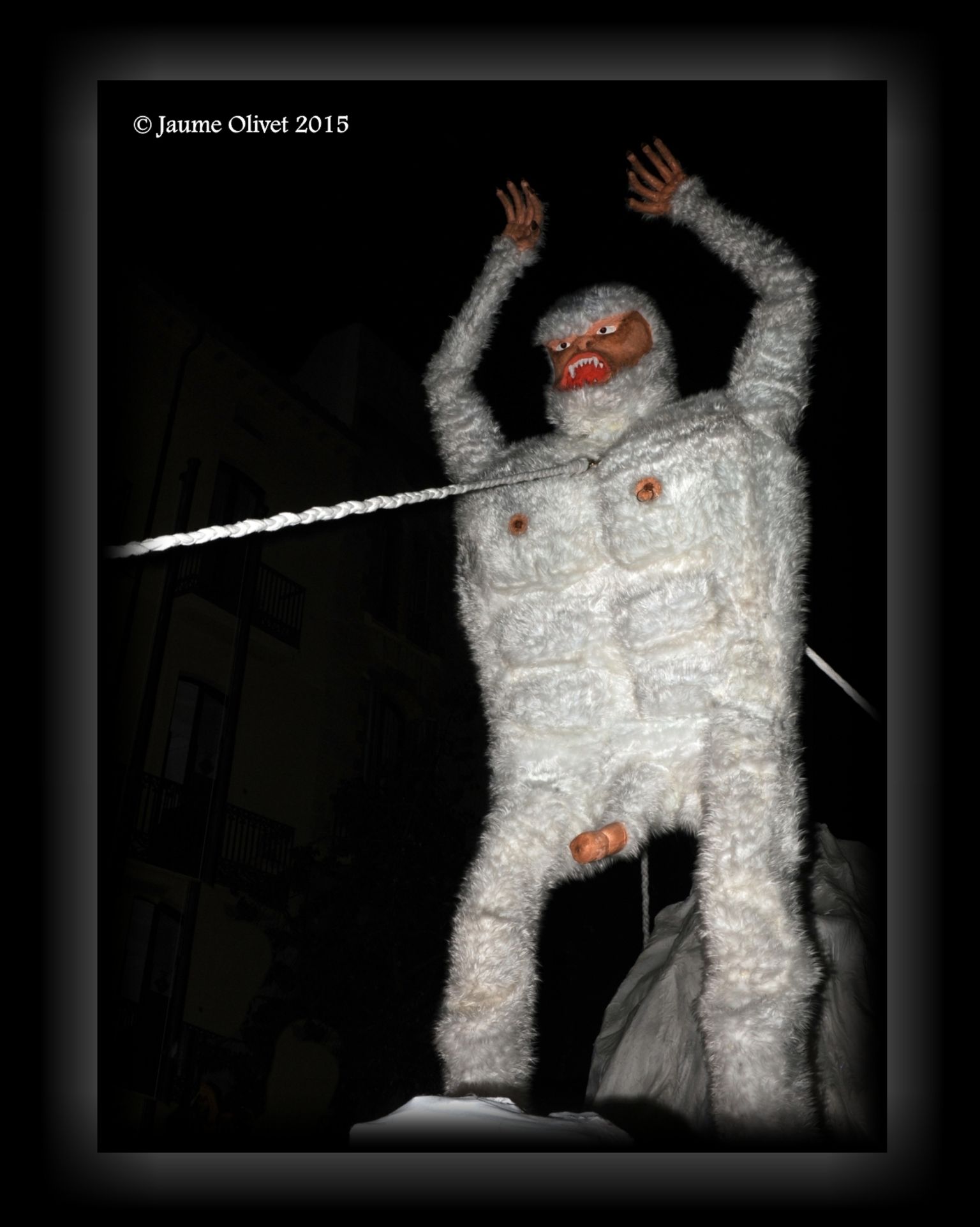 C2015 F0503308  Jaume Olivet