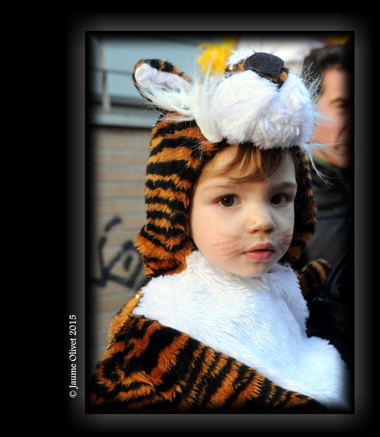 C2015 F0509014  Jaume Olivet