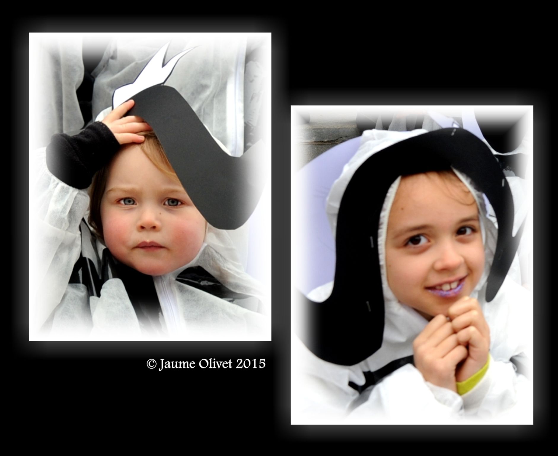 C2015 F0705503  Jaume Olivet
