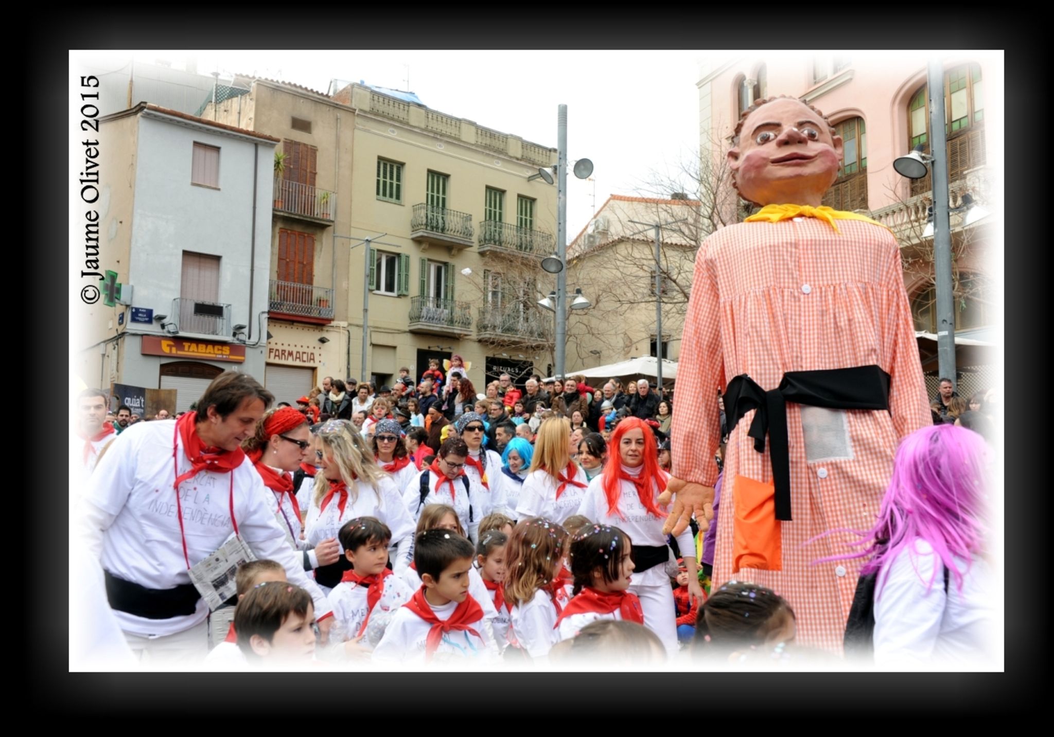 C2015 F0705701  Jaume Olivet