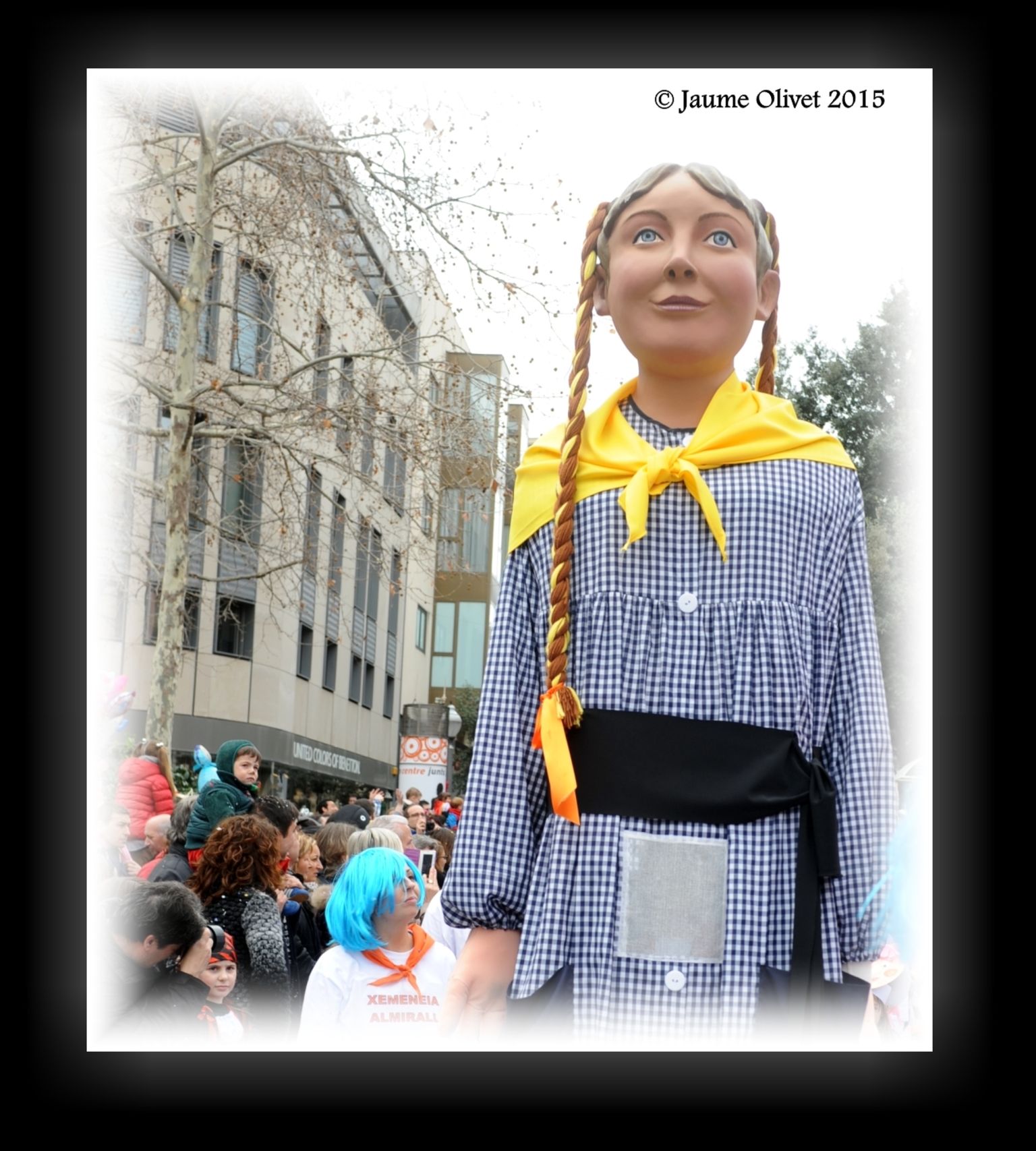 C2015 F0705702  Jaume Olivet