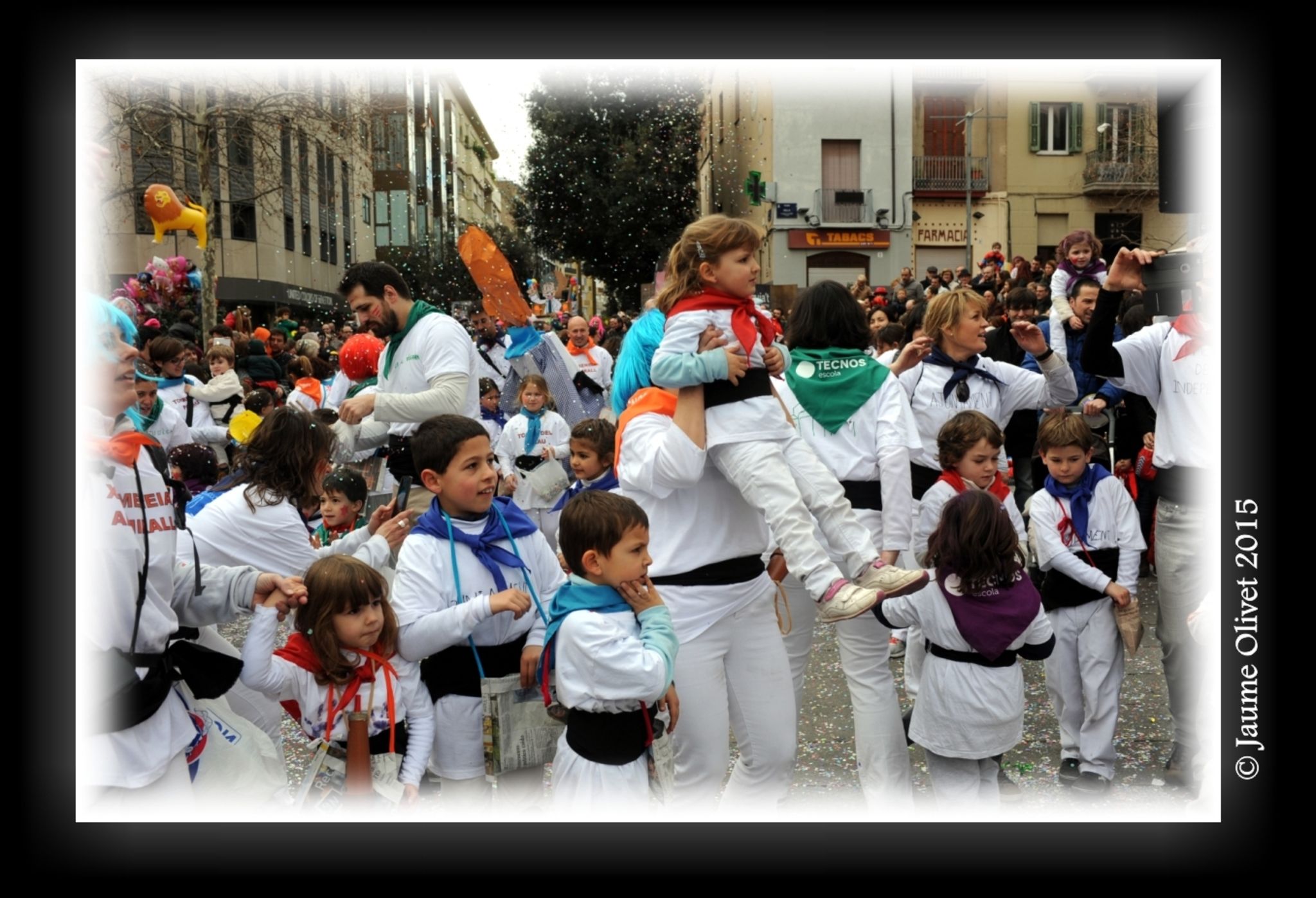 C2015 F0705717  Jaume Olivet