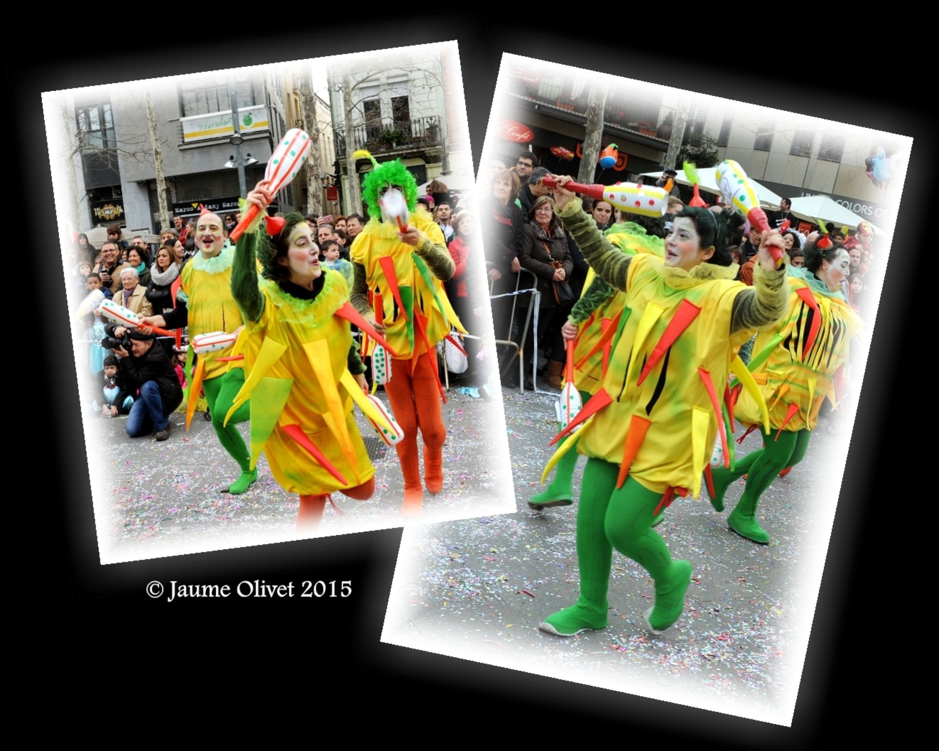 C2015 F0705906  Jaume Olivet