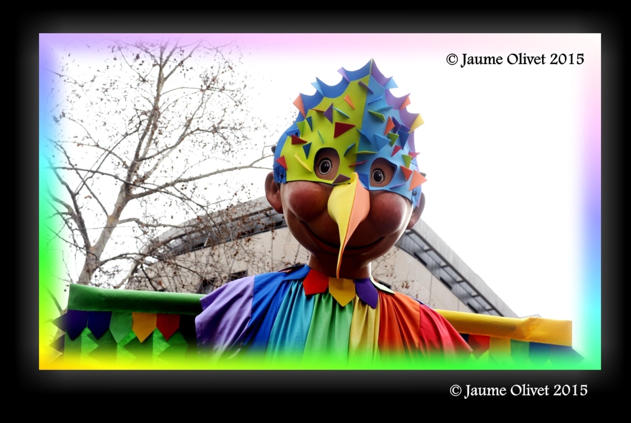 C2015 F0706117  Jaume Olivet