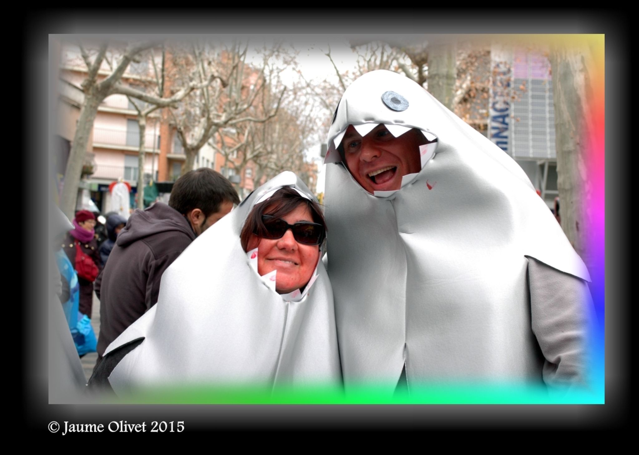 C2015 F0706303  Jaume Olivet