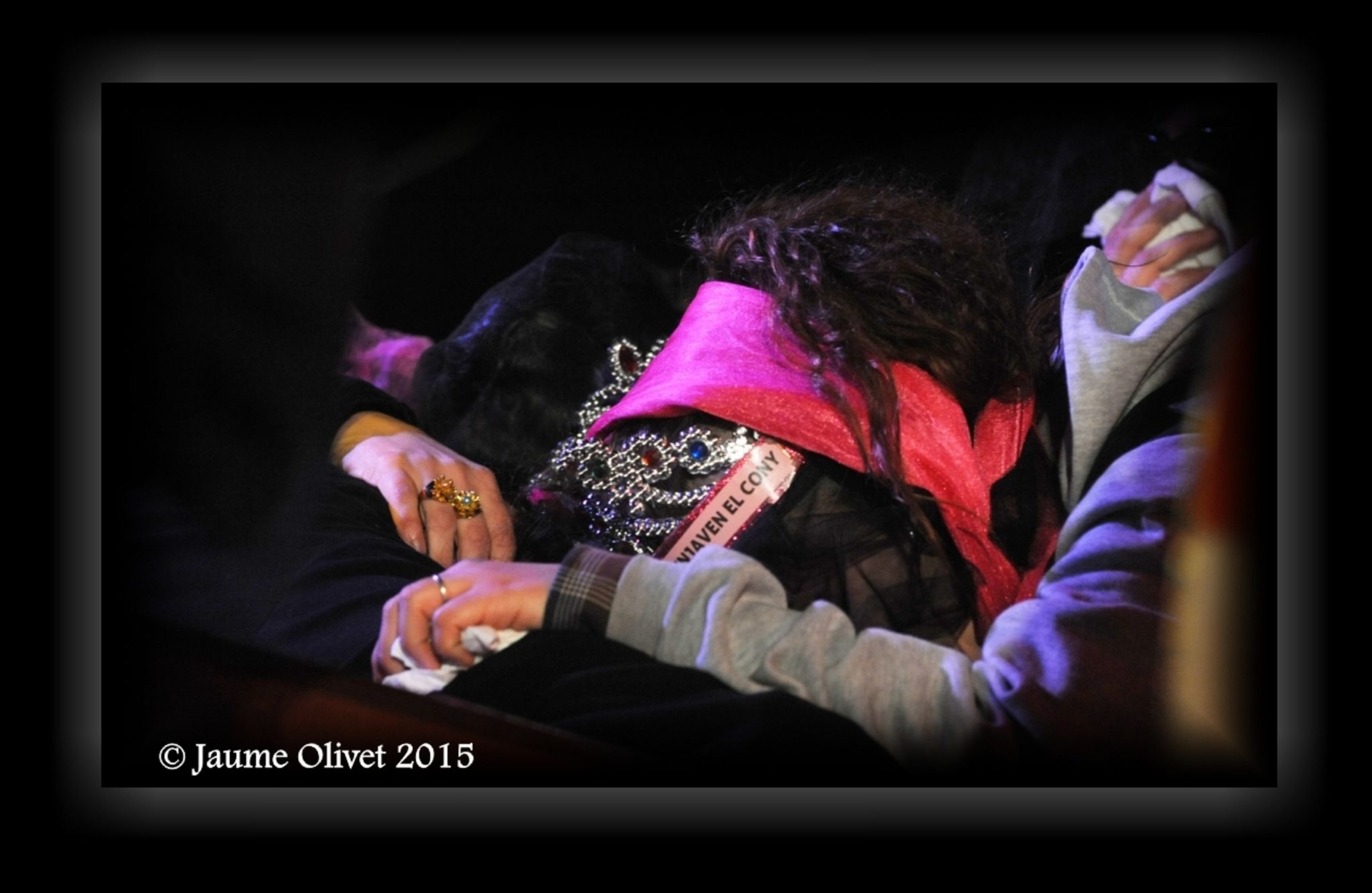 C2015 F1104026  Jaume Olivet