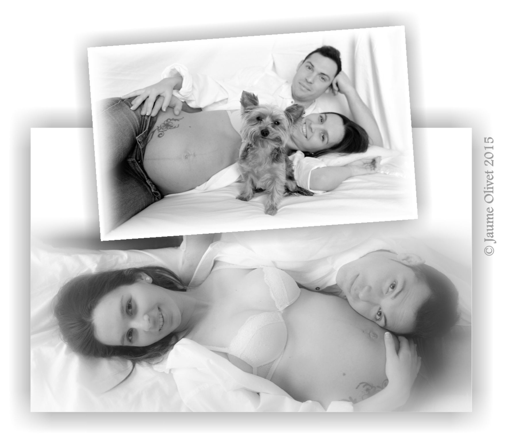 � Jaume Olivet 2015