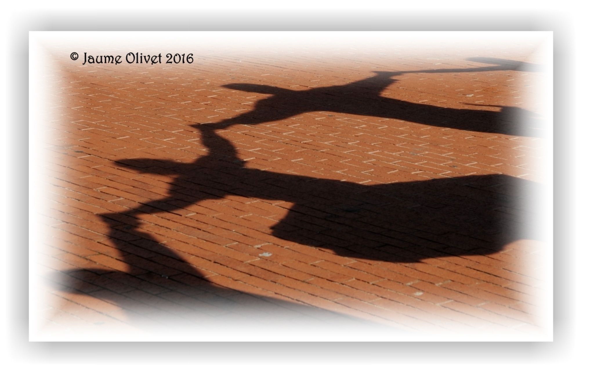  Jaume Olivet 2016