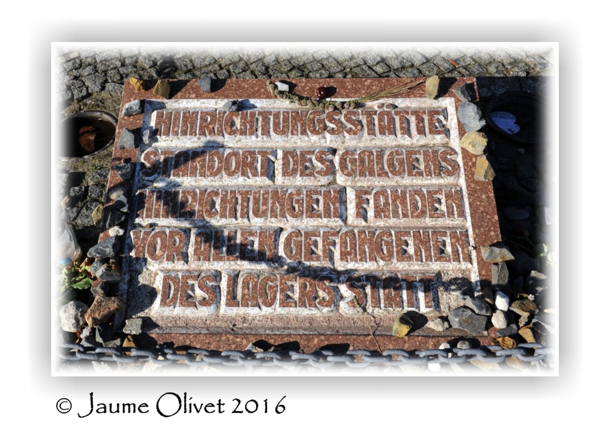  Jaume Olivet 2016