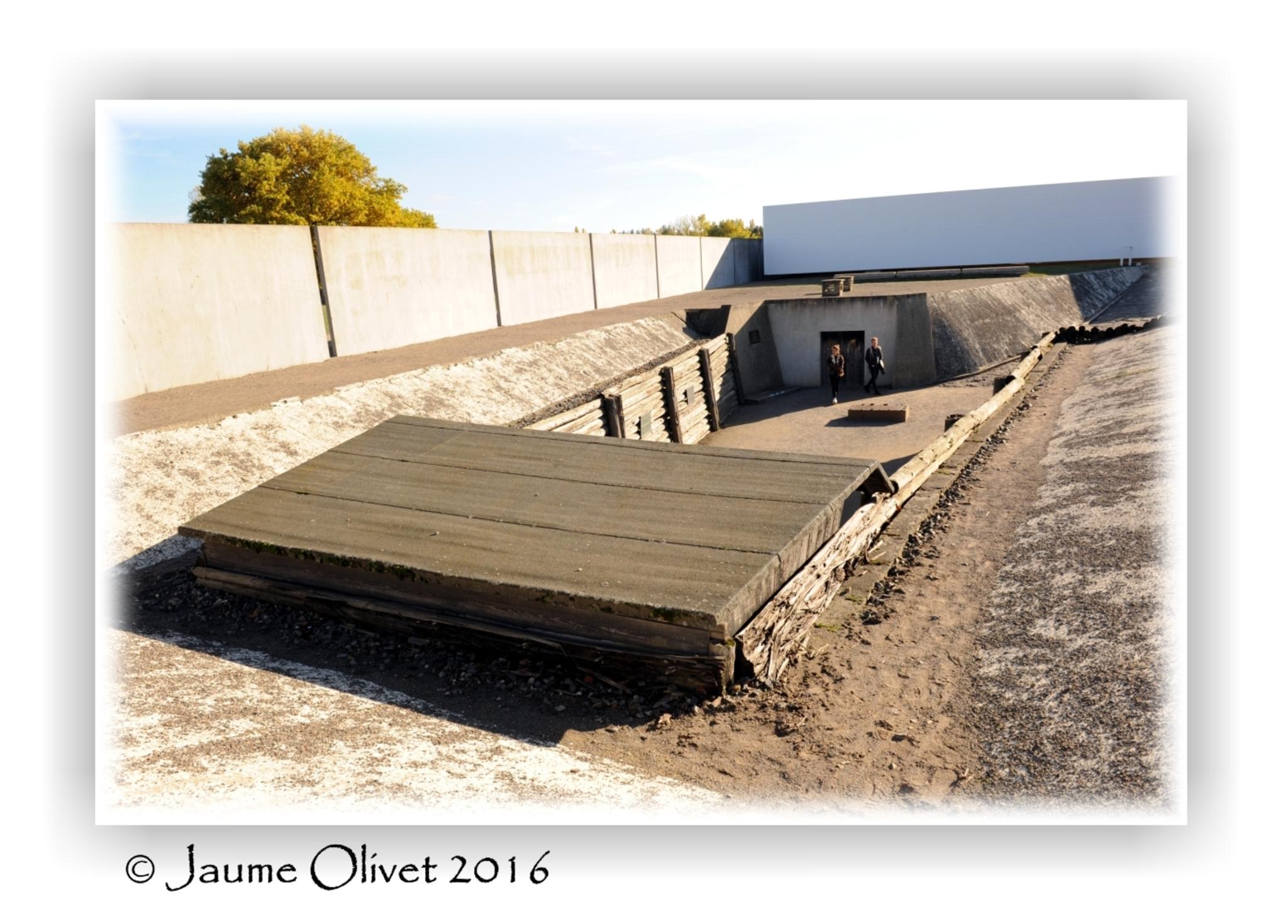  Jaume Olivet 2016